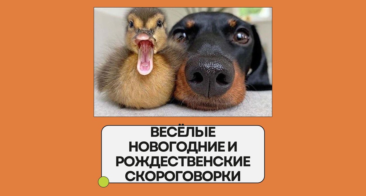 Изображение: Family English