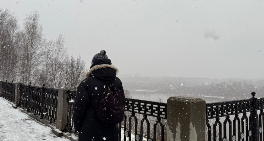    Фото progorod43.ru