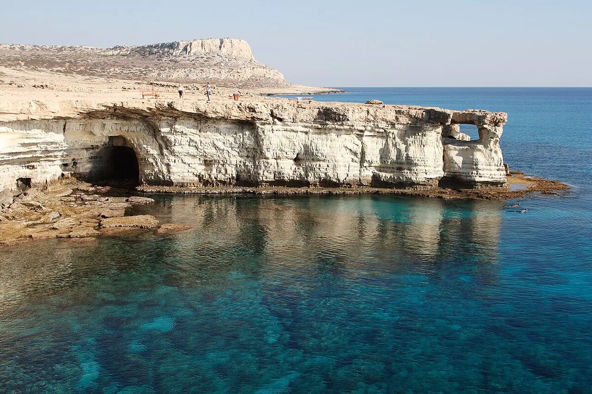    Фото: naked-science.ru Мария Михайлова