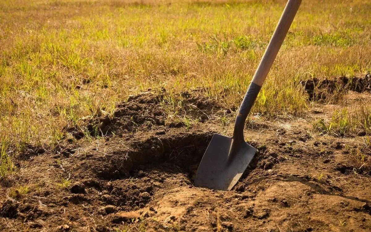    Компания выплатит более 2 млн руб. за вред окружающей среде Удмуртии