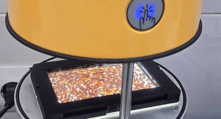    Фото: ФГБУ ЦОК АПК