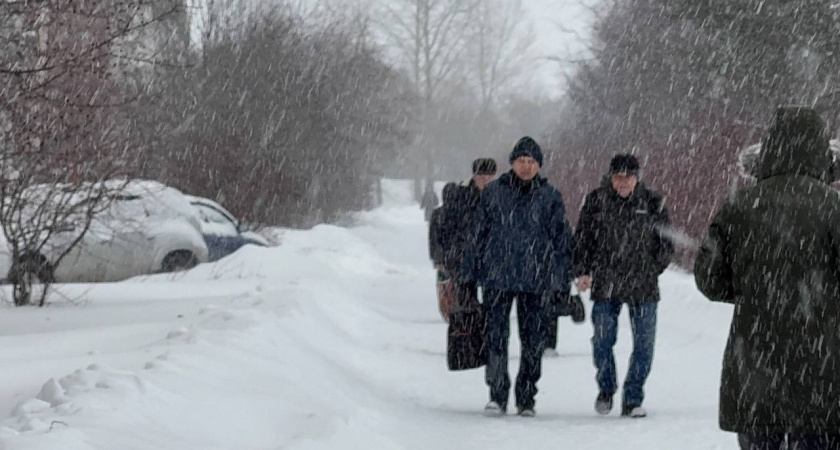    Фото prochepetsk.ru