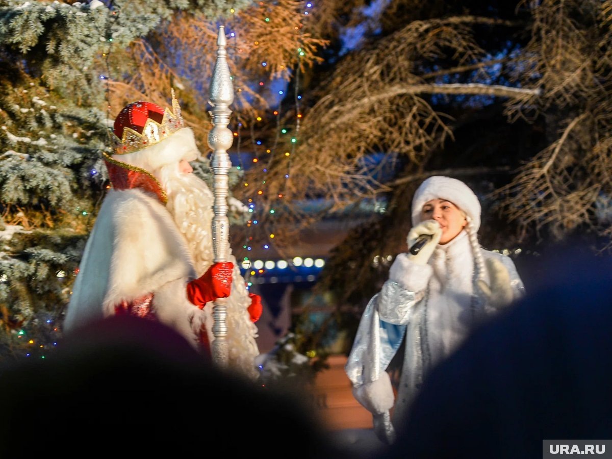     Курганцы увидят новогоднюю рок-сказку в баре