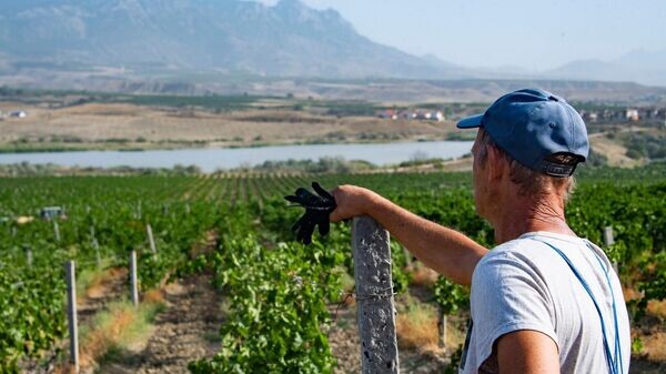    © РИА Новости Крым . Дмитрий Макеев