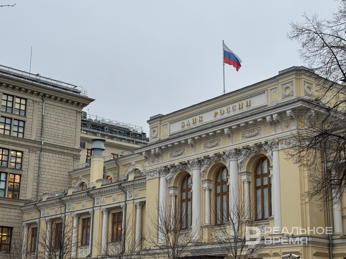   Дарья Пинегина / realnoevremya.ru