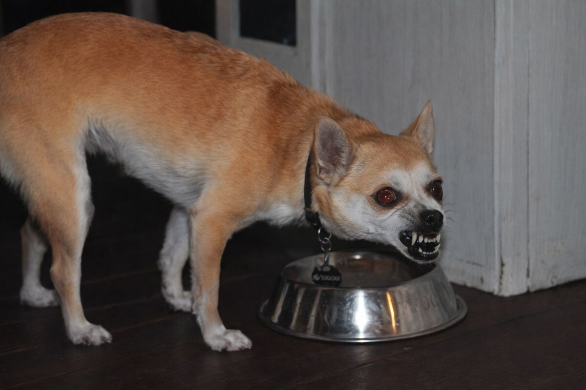 Охрана ресурса