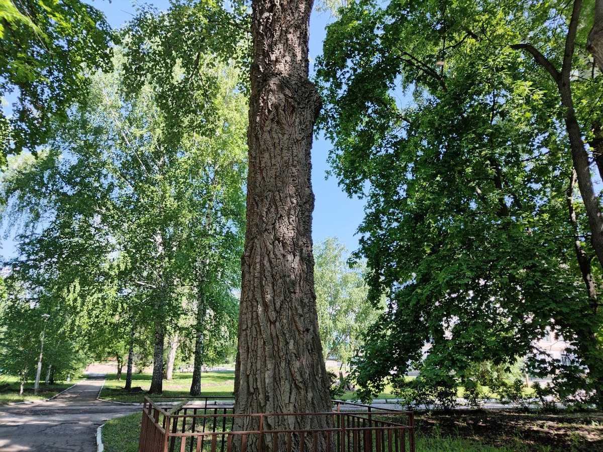 Фото автора.