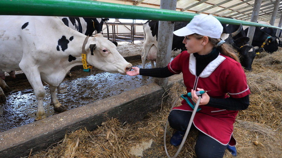     фото пресс-службы правительства ИО