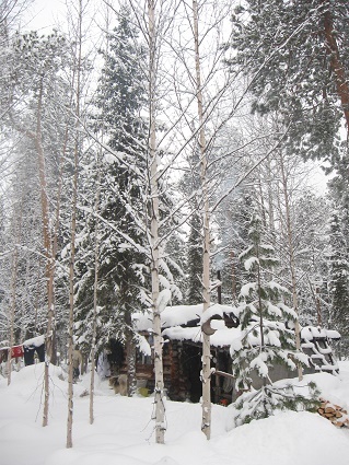 Фотографии Татьяны Немшановой. Октябрь в тайге Крайнего Севера Западной Сибири ХМАО Югра, Зауралье, Приполярный Урал, Таёжное безмолвие, таёжная жизнь, таёжный лес северный. Осенний день, осенний снег.