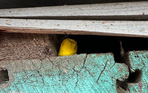 В Волгограде задержан иностранец с крупной партией синтетических наркотиков