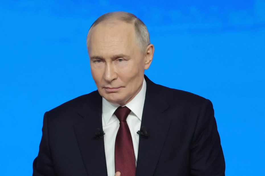    Наталья Шатохина/NEWS.ru