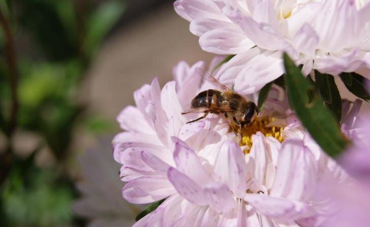    фото Курские известия