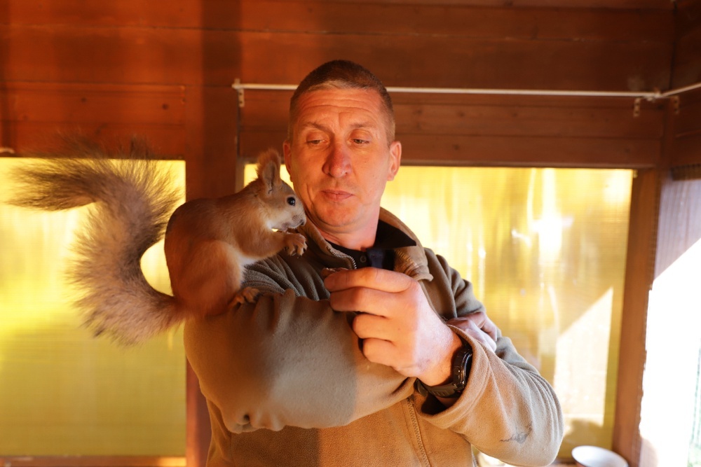    Бельчат Алексей купил новорожденными, носил на работу в шапке и кормил по часам. / Фото: Российская газета