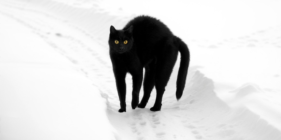 Тоненькие ниточки судьбы