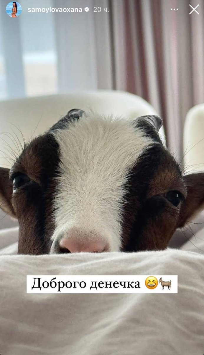 Архивная публикация Оксаны Самойловой в запрещенной соцсети.