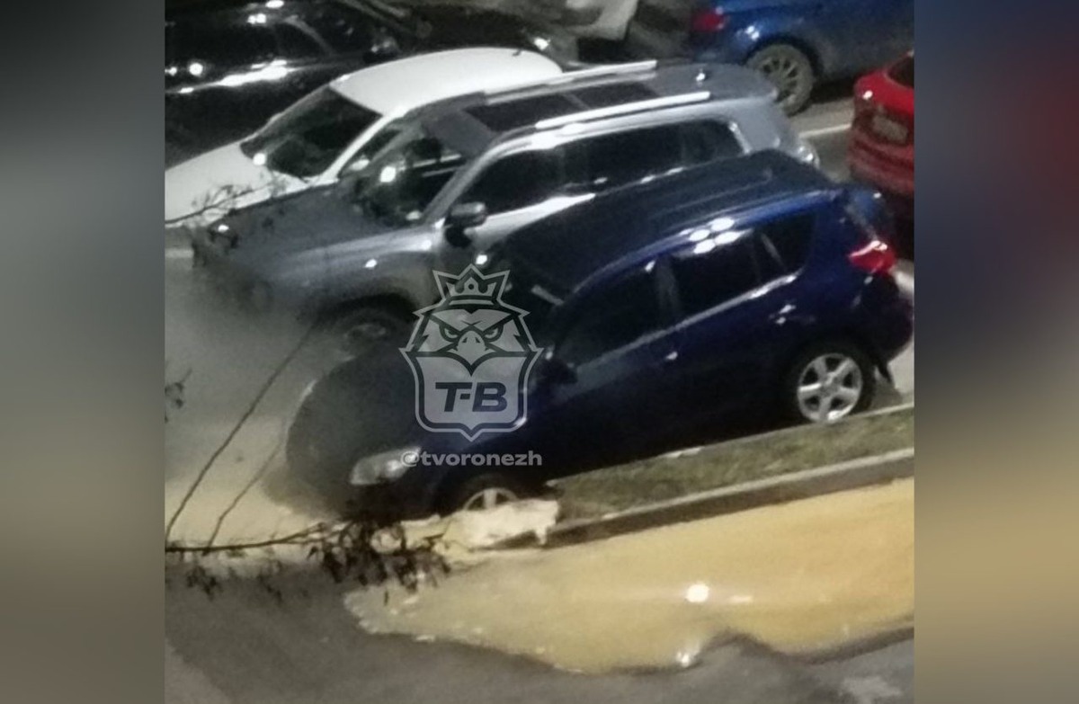     Фото: t.me/tvoronezh