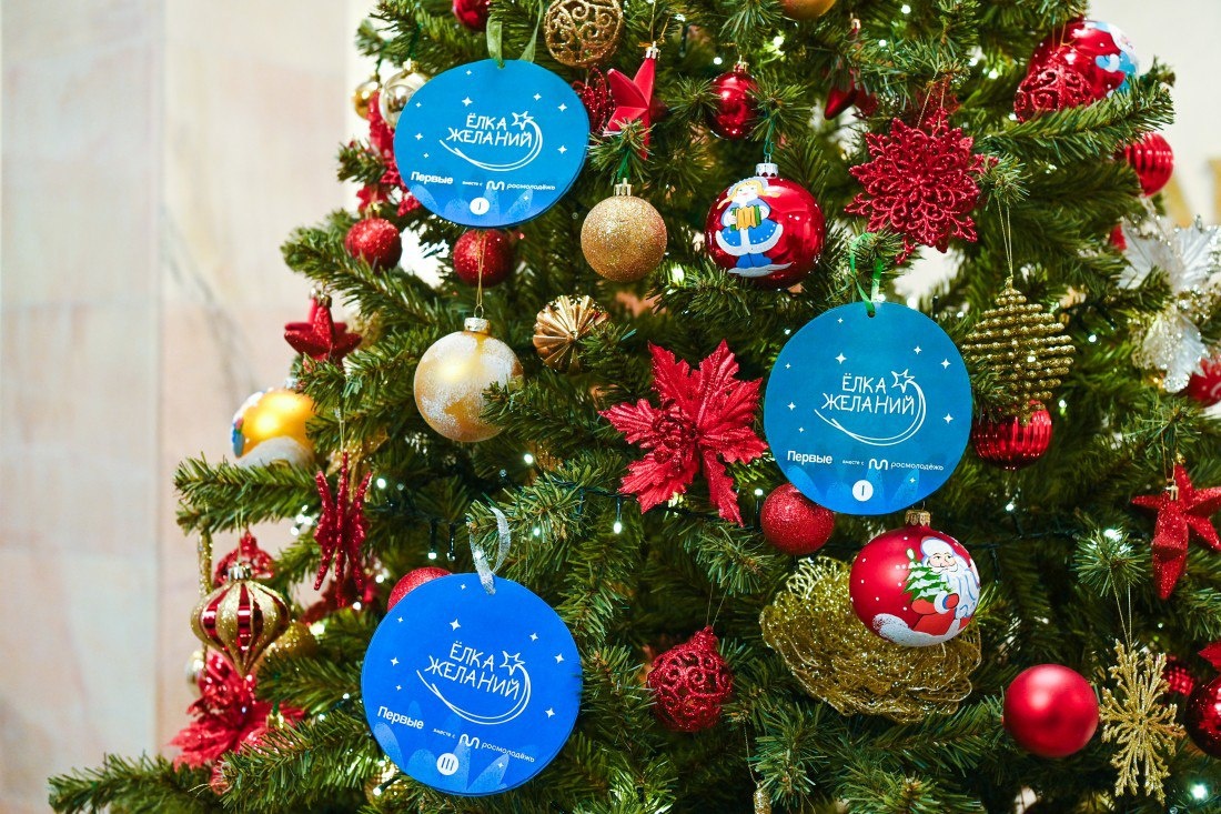    фото: © Правительство РК