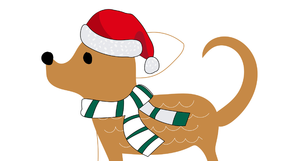 5 правил: как подготовиться к Новому году с собакой