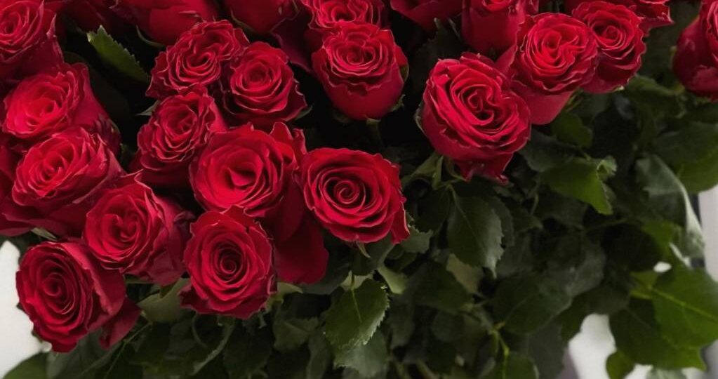 О чем вы думаете, когда получаете шикарный букет цветов? Бежите первым делом за телефоном или все же вазой? А может мысленно прикидываете