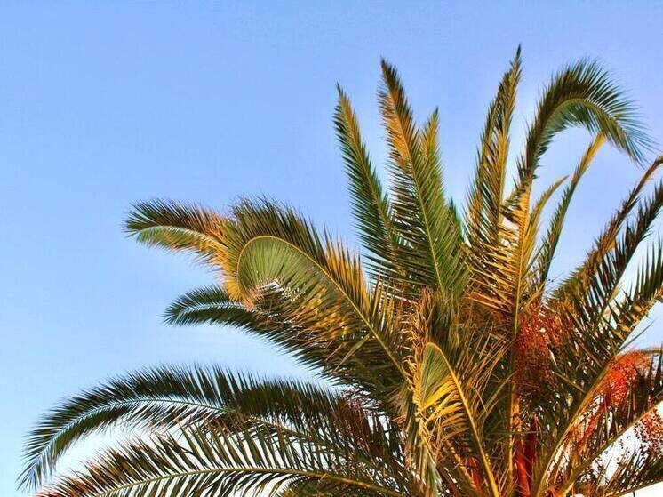     Для поколения Z важнее эмоции, впечатления и личный смысл. Фото: Архив МК в Великом Новгороде