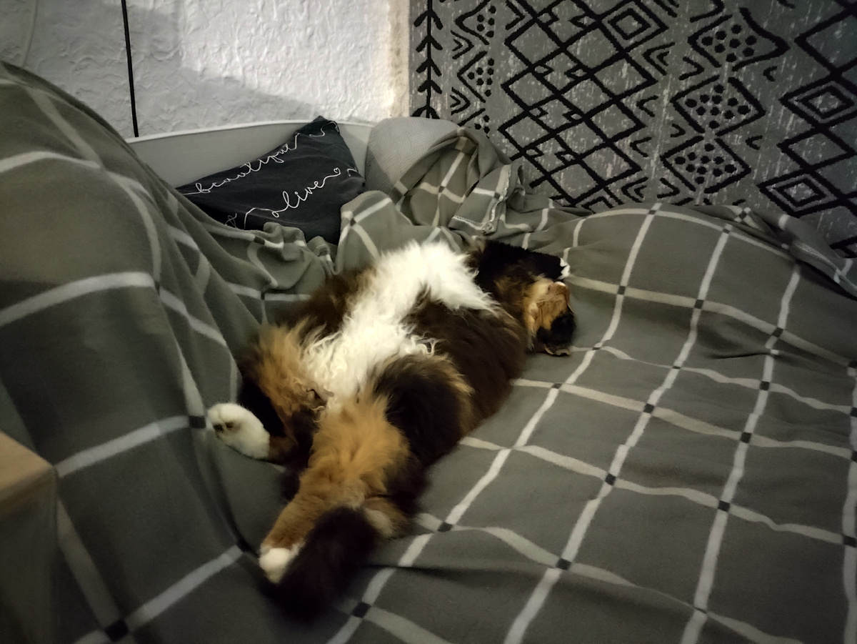 Хорошо устроилась...