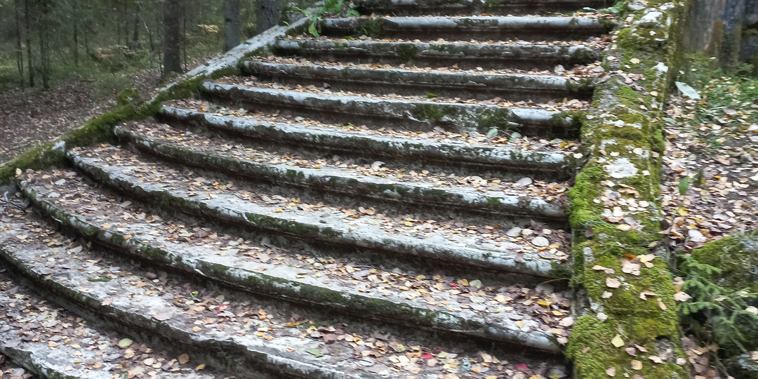 Заброшенные лестницы в лесу: наследие ушедшей эпохи