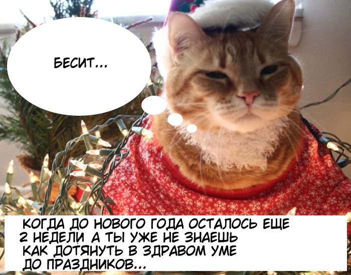 Изображение создано автором на основе материала из свободного доступа