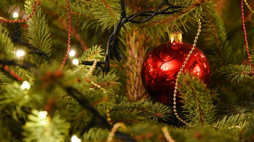 Источник: ru.freepik.com
