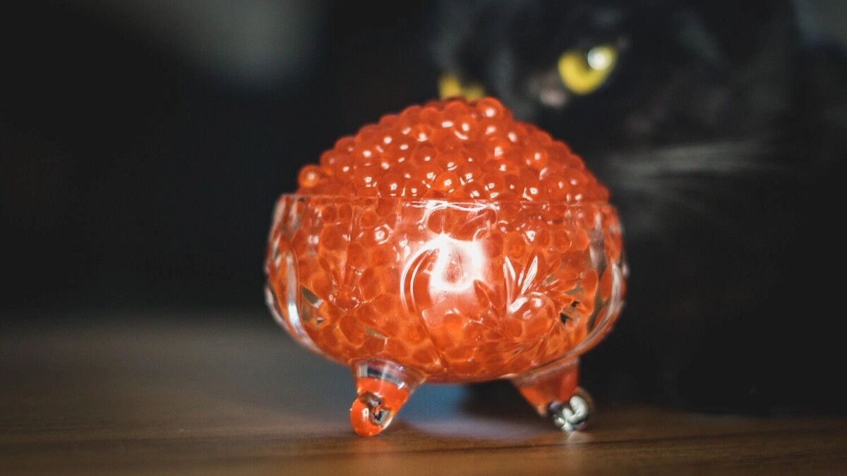    Как проверить, настоящая ли икра, в домашних условиях   1MI