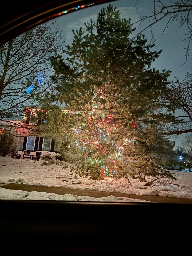 Источник: okguerita/reddit