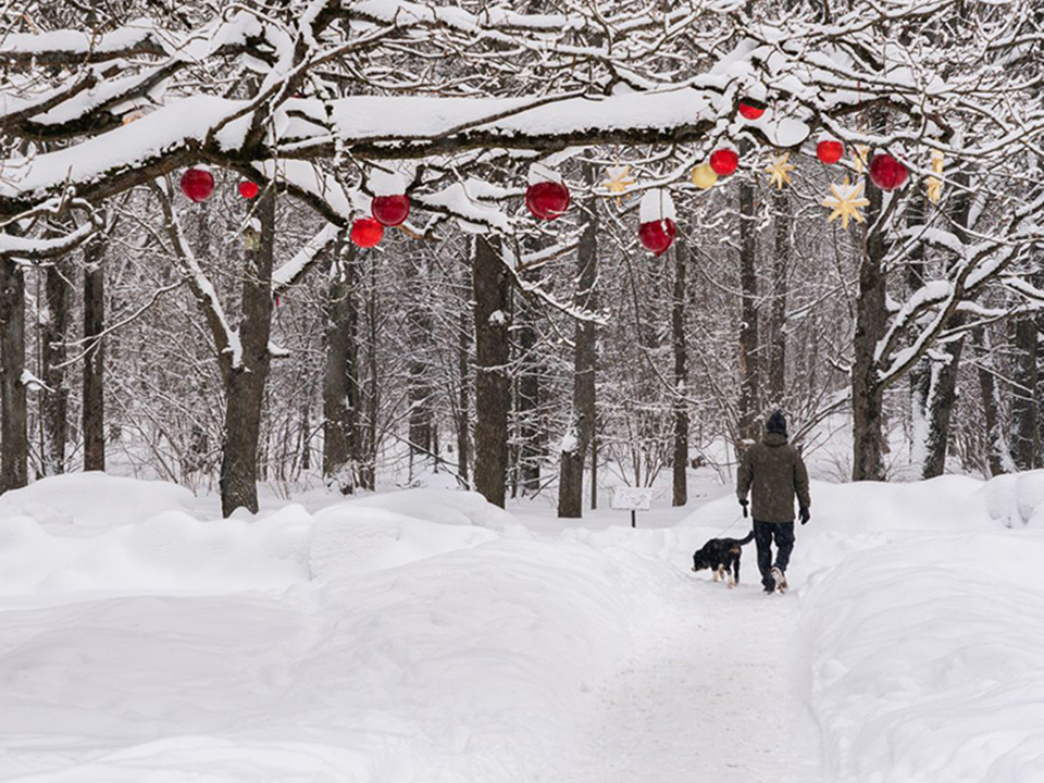    Фото: медиасток.рф