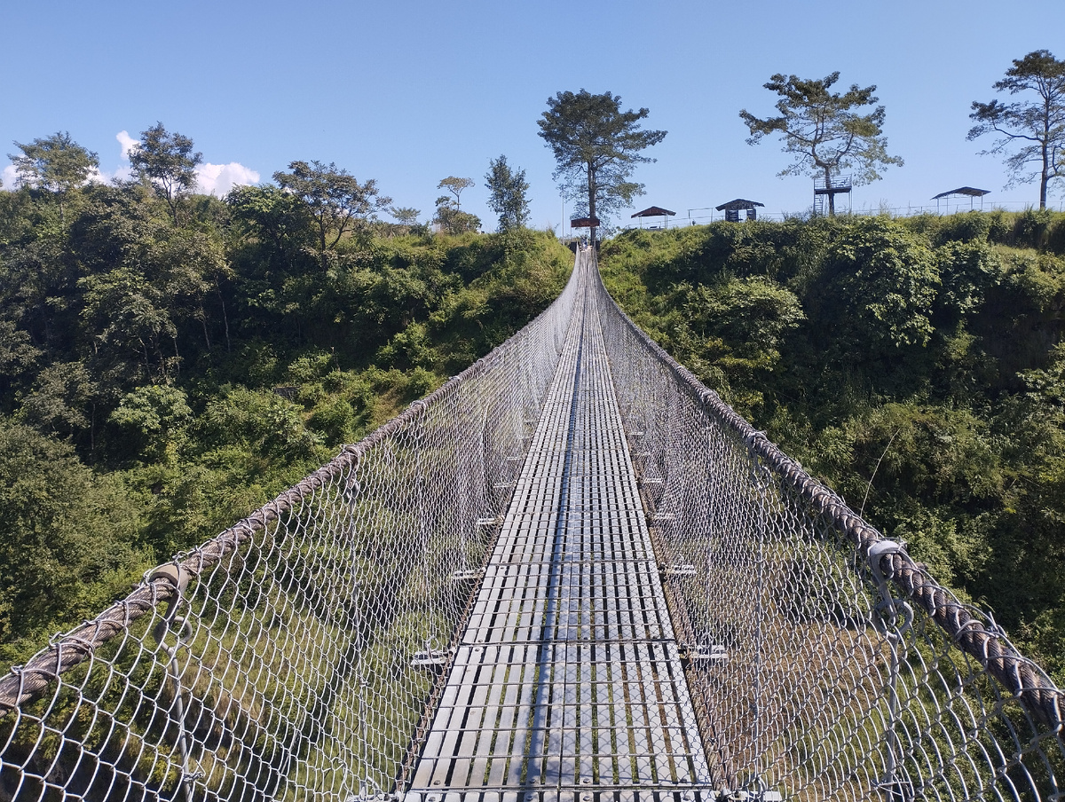 Нет, а что, очень похоже