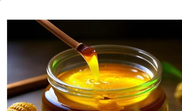    Фото: Лукьянов Дмитрий, AgroXXI.ru