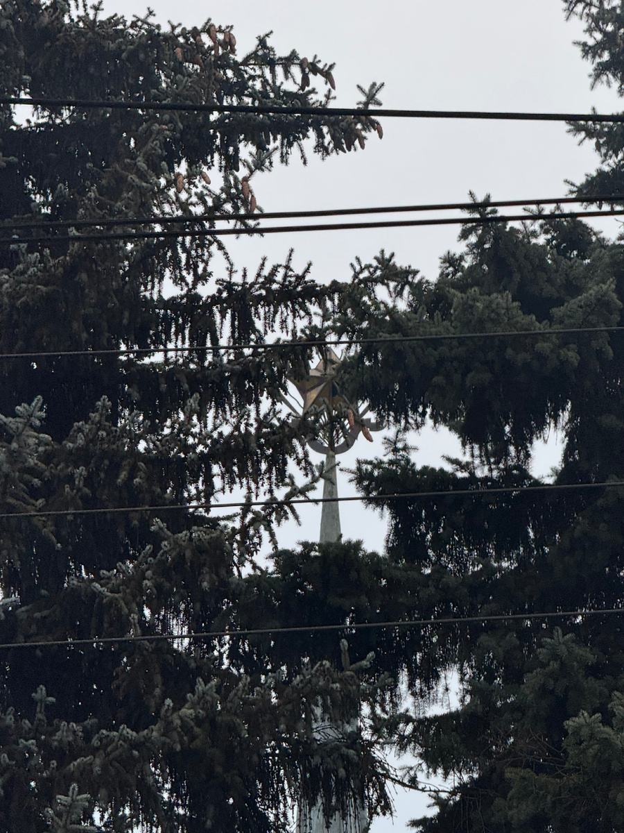 Голубые ели и звезда «Подмосковной высотки»