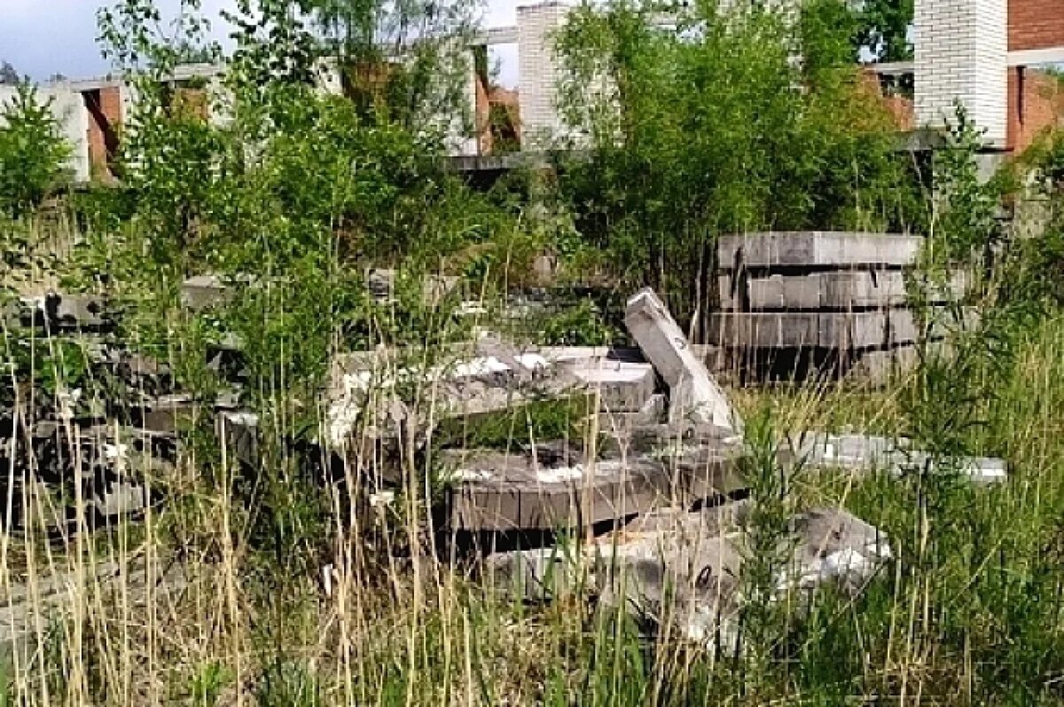    Фото носит иллюстративный характер