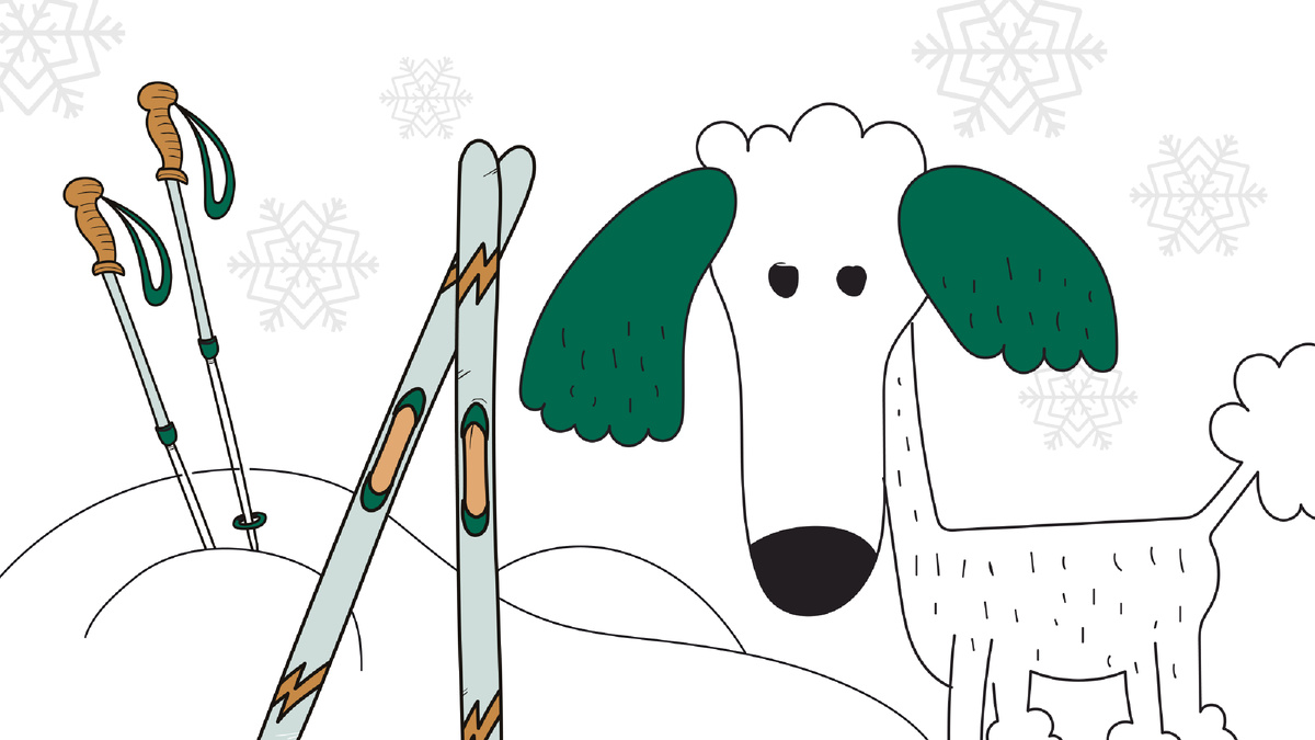 5 идей для новогодних каникул с собакой