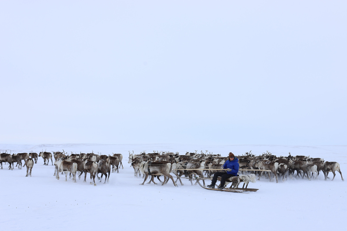 В гармонии, в умении жить в согласии с землёй, ветром и собственным ритмом, ощущается подлинная сила Севера