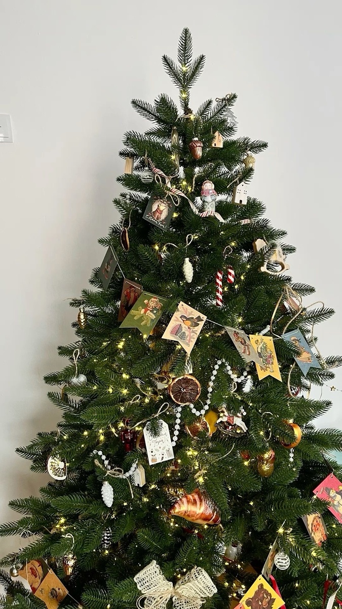 Автор фото: соцсети