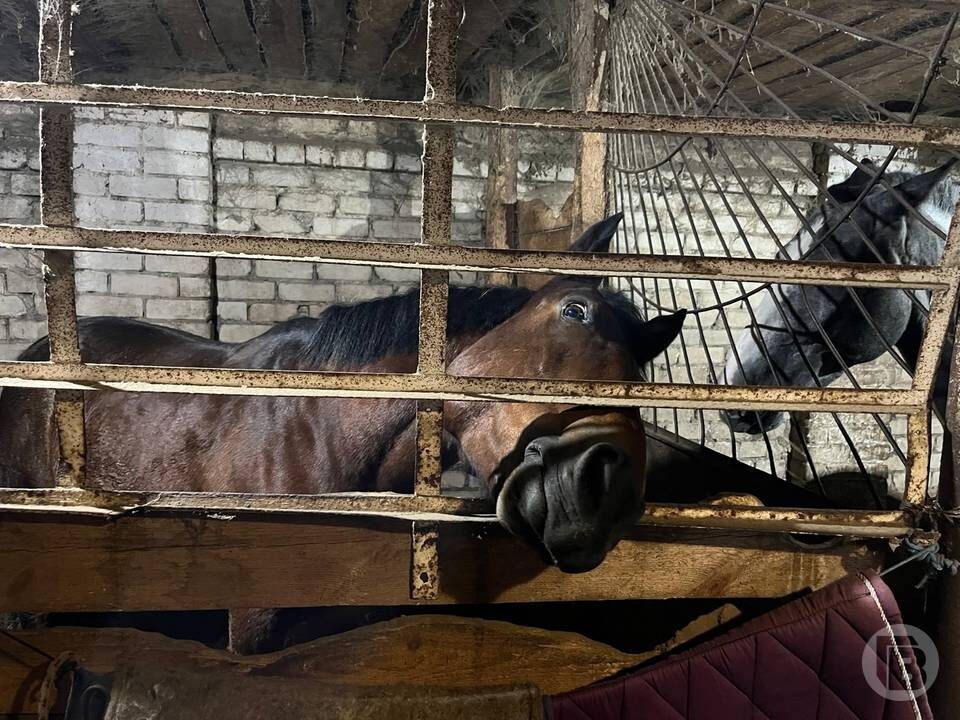    Фото: "Городские вести"