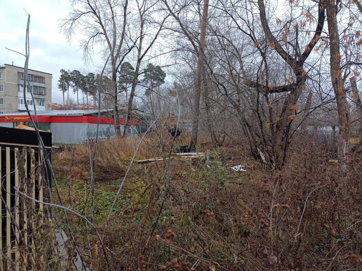    Пустырь, на котором Михаил нередко распивал алкоголь в компании сомнительных личностей