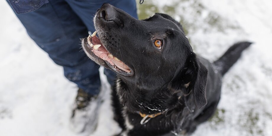    Фото: портал мэра и правительства Москвы/Александра Липкина