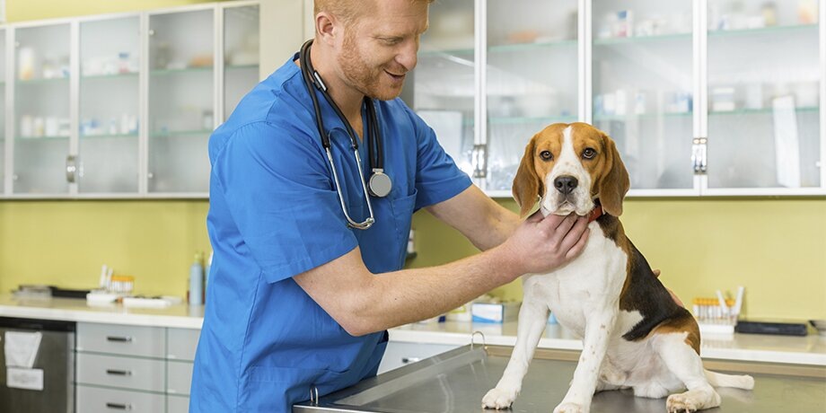    Фото: depositphotos/SergPoznanskiy