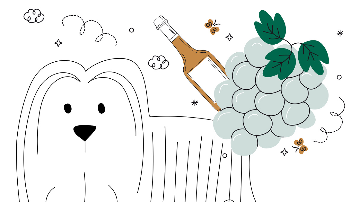 5 удивительных профессий собак