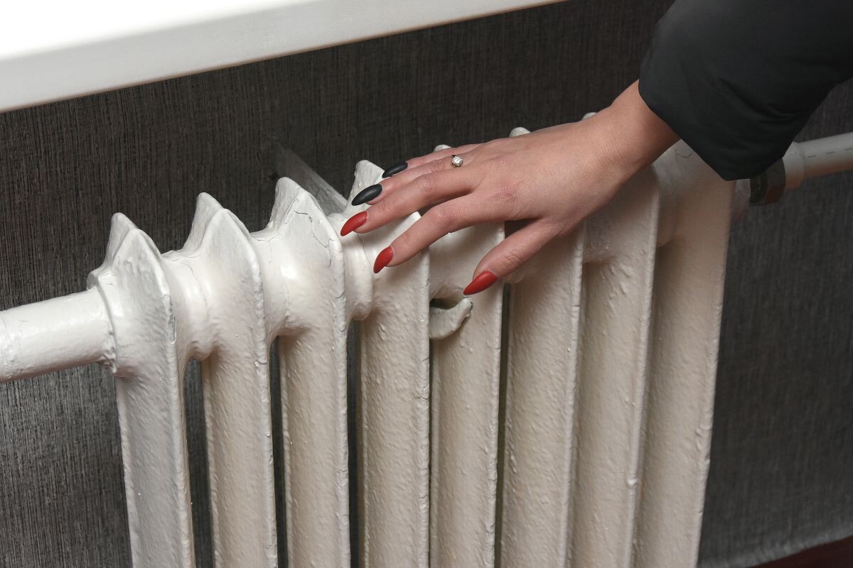    Фото: Александр Зинченко