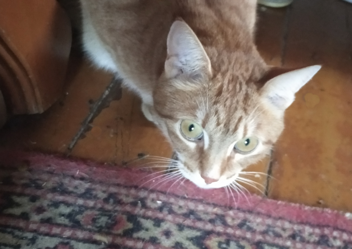 Личное фото