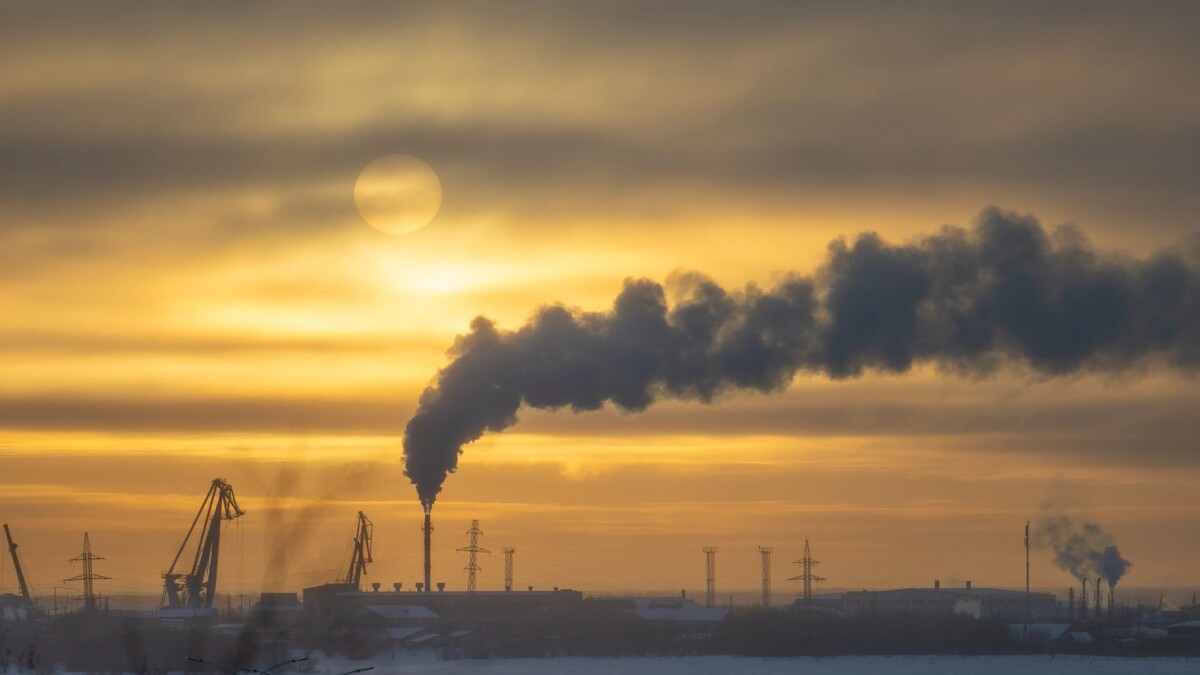    Фото: Федор Воронов / «Ямал-Медиа»