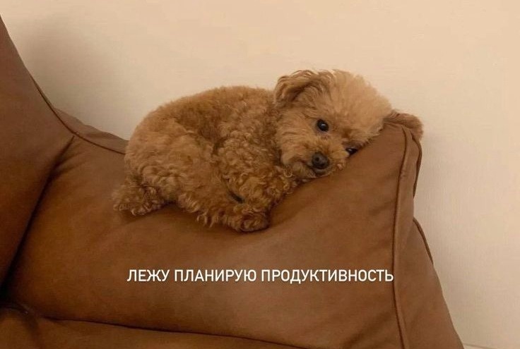 Принцип Парето в обычной жизни