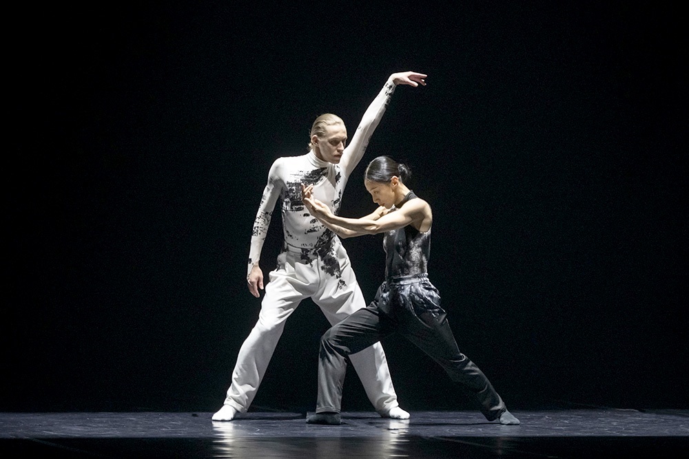     Си Син, Максим Севагин. "Лебеди". / Фото: Александр Филькин