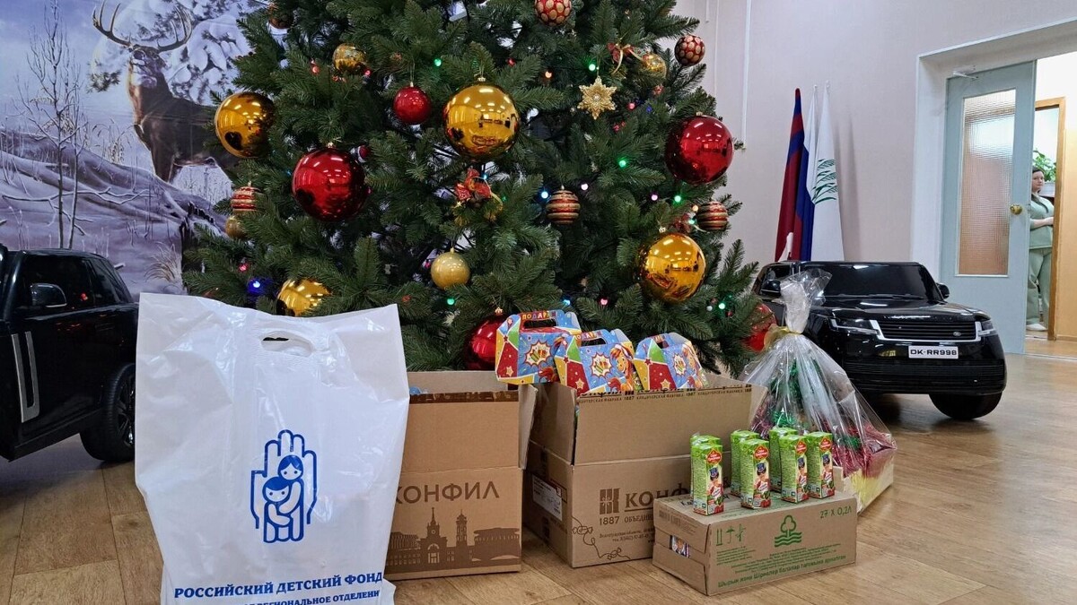     Источник: ВРОООБФ Российский детский фонд