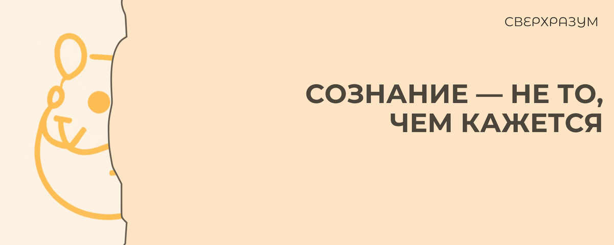 Мозг предоставил сознанию полномочия, не наделяя его властью. Сознание работает как инструмент в рамках заранее заданных системных границ.